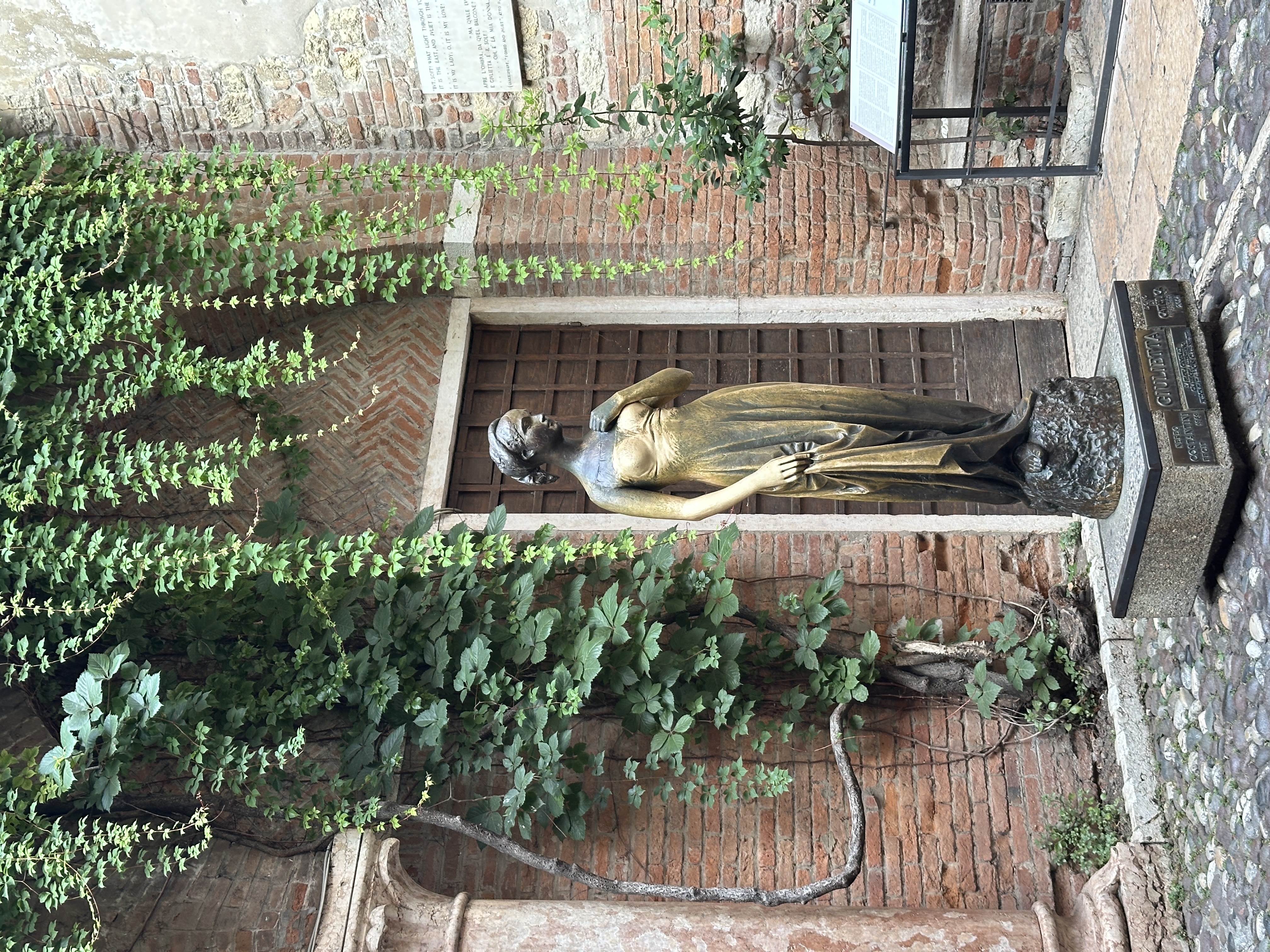 verona-guliatta